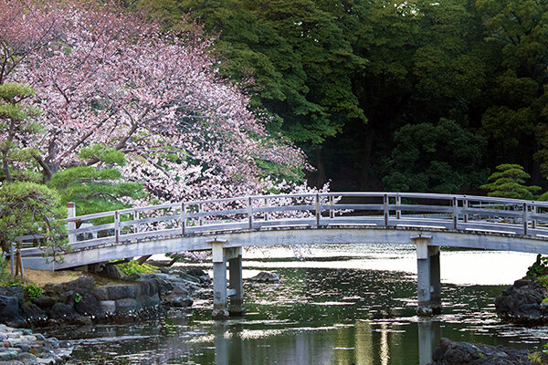 Kyu Shiba-Rikyu Gardens