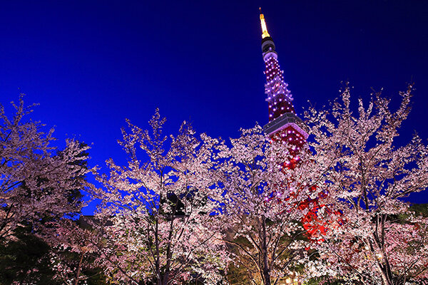 Tokyo Tower and Shiba Koen Park
