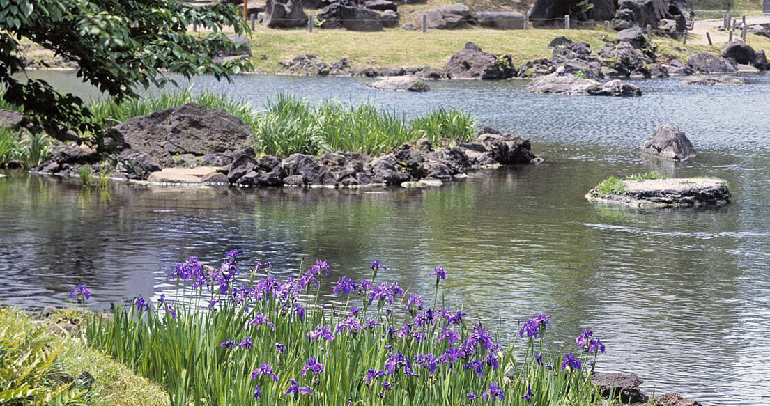 Kyu-Shiba-rikyu Gardens