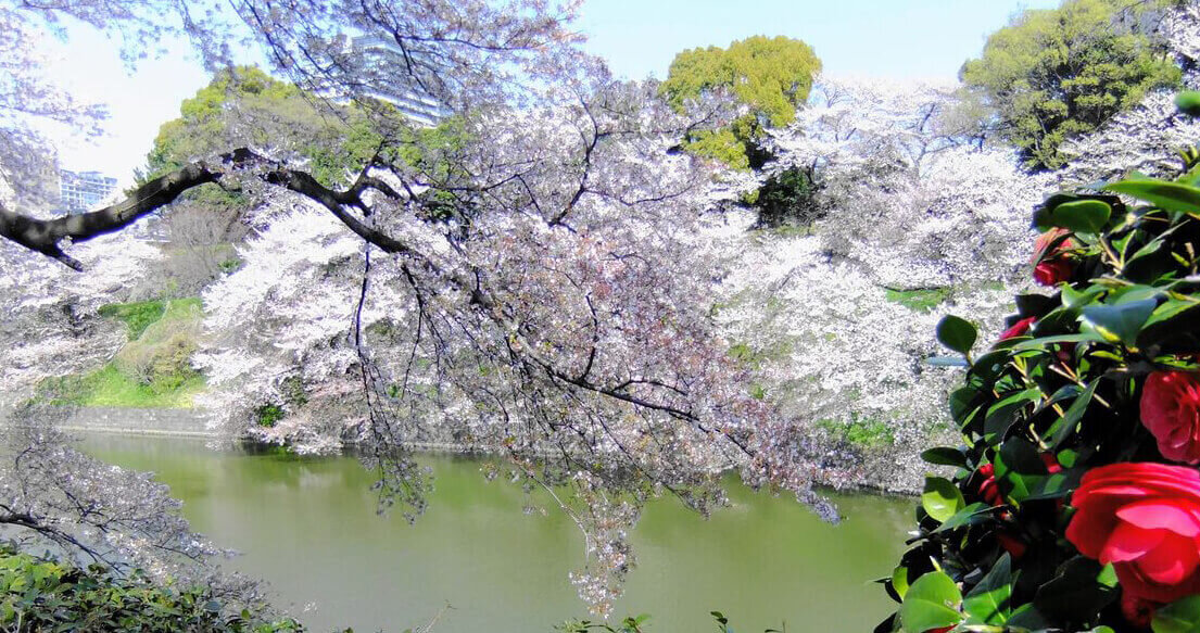 Kokyo Gaien National Garden